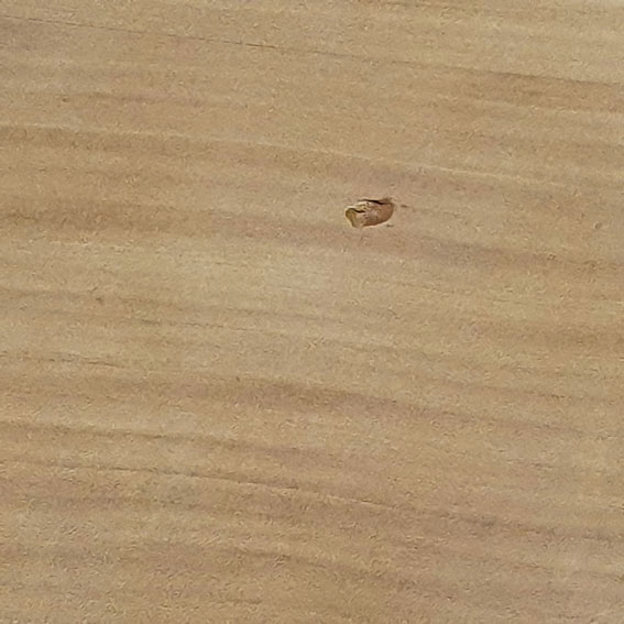 défaut sur le plateau de la table
