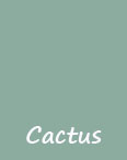 couleur Cactus
