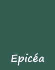 couleur Epicéa